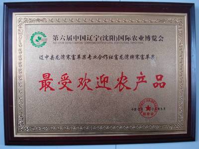 服務(wù)一條龍，無(wú)憂一整年 農(nóng)業(yè)生產(chǎn)全程擁抱“專(zhuān)業(yè)化”運(yùn)營(yíng)商機(jī)